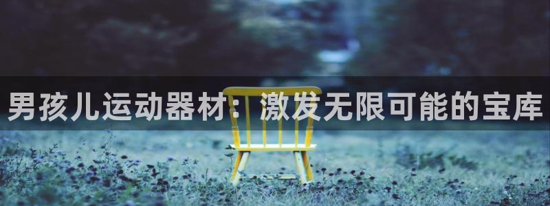 风速体育官方正版app集团官网首页：男孩儿运动器材：