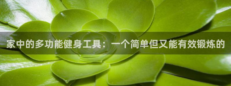 注册风速体育官方正版app：家中的多功能健身工具：一