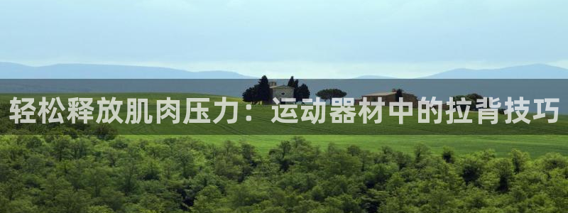风速体育官方正版app集团logo：轻松释放肌肉压力