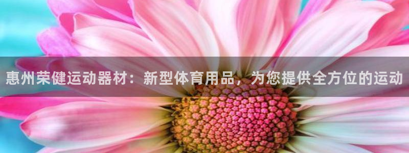 风速体育官网下载招商电话号码是多少啊：惠州荣健运动器材：新型