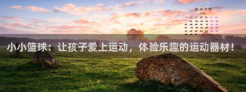 风速体育官方正版app神州：小小篮球：让孩子爱上运动