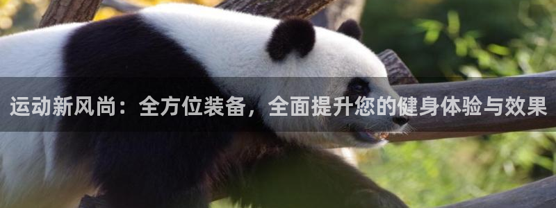 海南风速体育官网下载发展怎么样：运动新风尚：全方位装备，全面