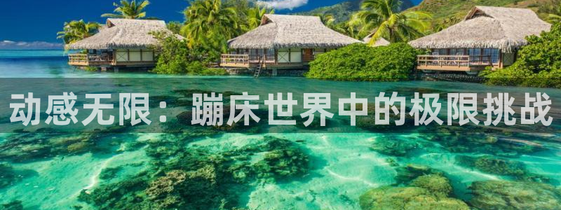 风速体育官方正版app娱乐平台：动感无限：蹦床世界中