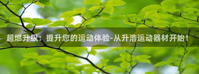 风速官方平台体育：超燃升级：提升您的运动体验-从升浩运动器材