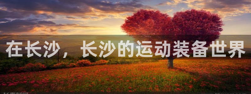 风速体育官网下载平台是正规平台吗：在长沙，长沙的运动