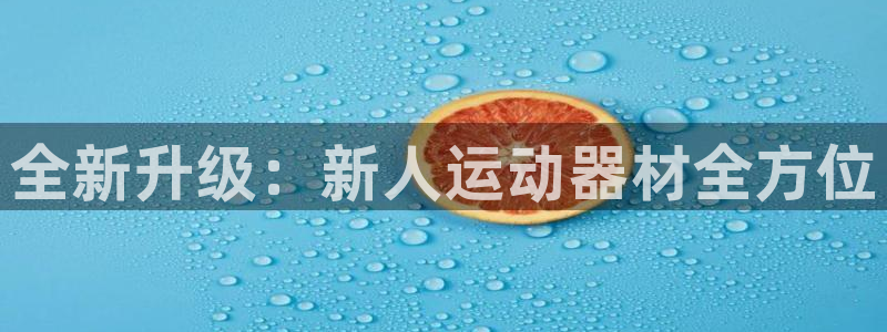 风速体育官方正版app集团