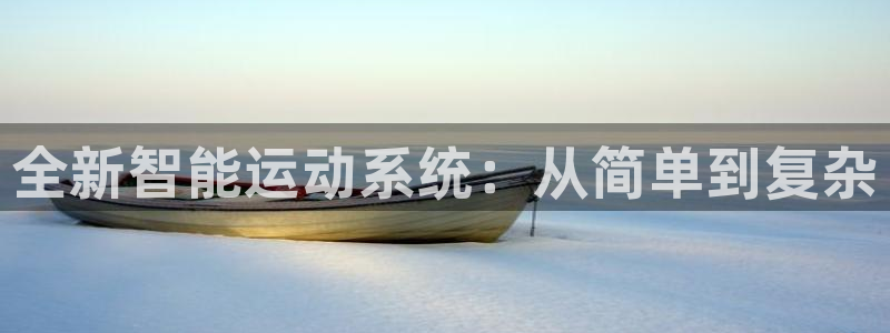 风速体育官方正版app娱乐平台：全新智能运动系统：从简单到复