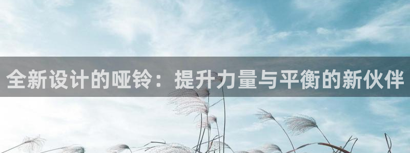 风速体育官方正版app神州