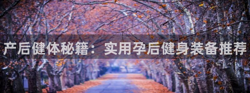 风速体育官网下载平台注册要钱吗：产后健体秘籍：实用孕后健身装