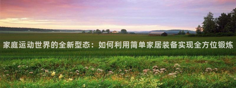 风速体育官网下载招商电话地址查询：家庭运动世界的全新型态：如